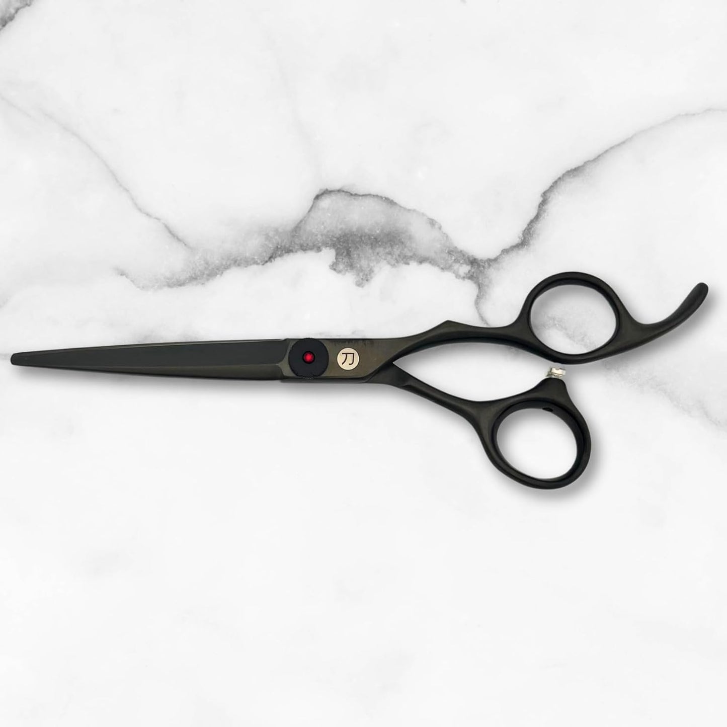 Scissors for Haircutting Professionals - Matte Black Finish - Long Lasting, Sharp Edge for Easy Hair Cuts - 440C Stainless Steel (6.0 Inches)