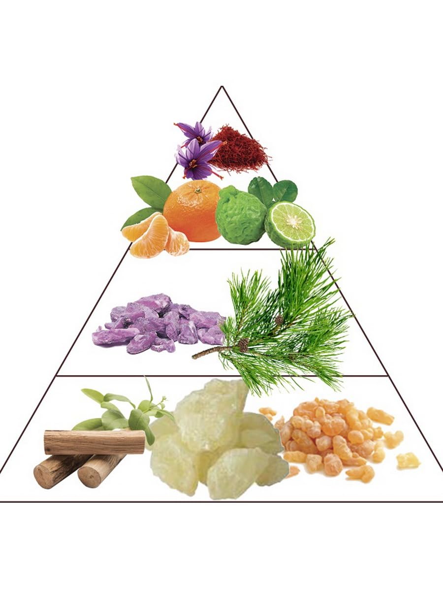 From France Molecule Tobacco 16ml – Citrus Woody Amber Scent From France – Luxury Fragrance with Mandarin, Saffron – Long Lasting Perfume With Frankincense and Amber Notes