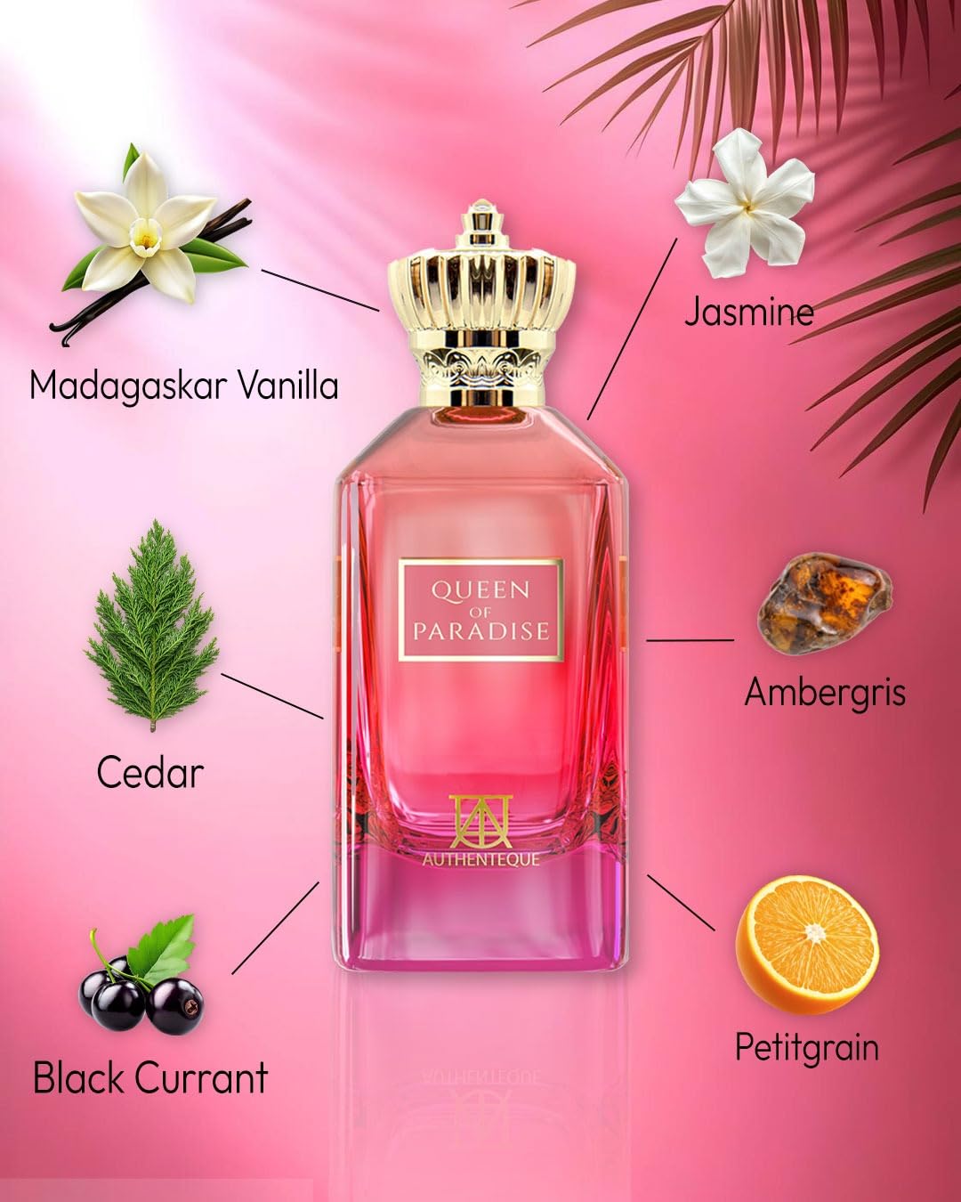 Queen of Paradise - Long Lasting Perfume for Women - Eau de Parfum - Madagascar Vanilla, Lavender, Mandarin Fragrance Luxury Arabian Perfume 3.4oz (100ml)