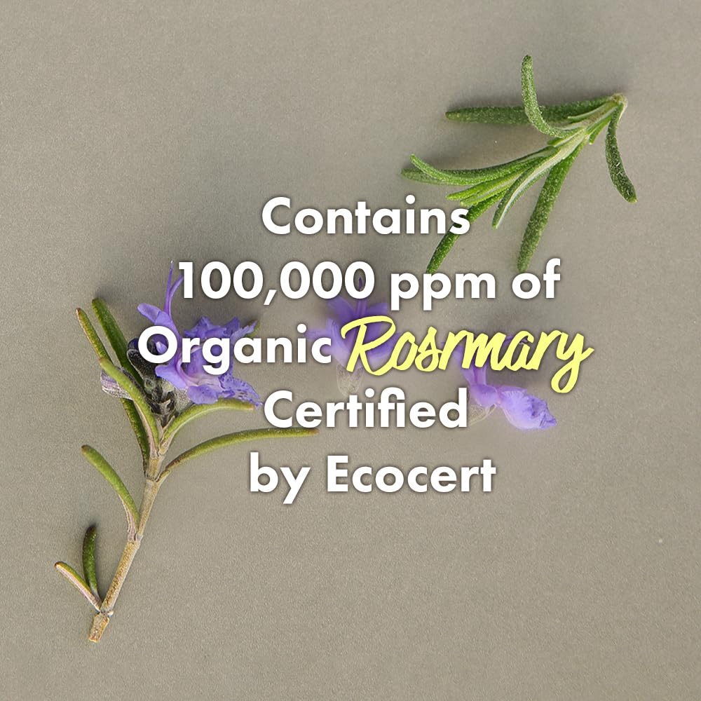 RATED GREEN Rosemary Balancing Scalp Pack | Organic Cold Brewed Charcoal | 2-in-1 Detoxifying Hair Mask for Flaky, Oly Scalp & Hair | Silicone-Free, Korean Hair Care | 1.69 fl oz (Pack of 5)