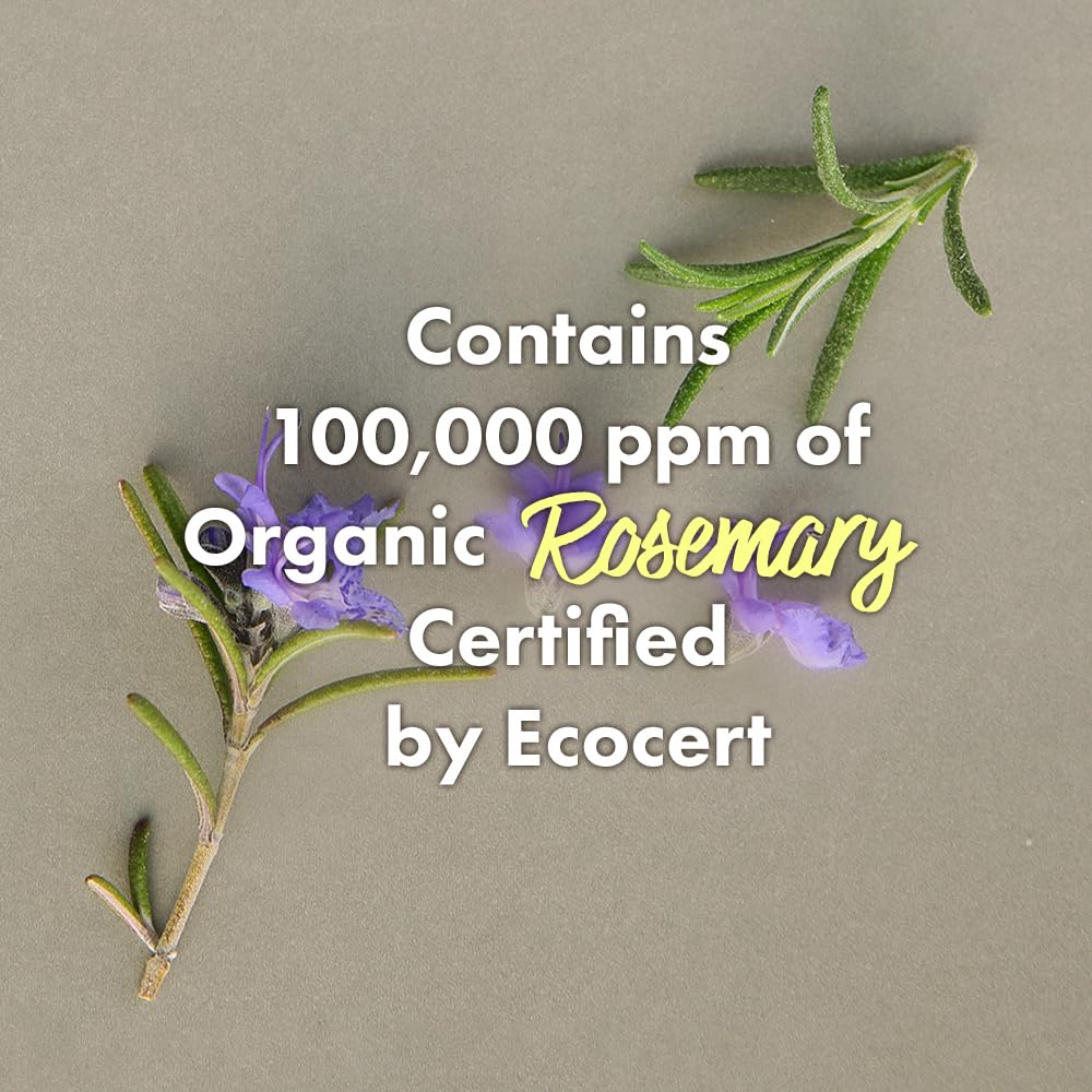 RATED GREEN Rosemary Balancing Scalp Pack | Organic Cold Brewed Charcoal | 2-in-1 Detoxifying Hair Mask for Flaky, Oly Scalp & Hair | Silicone-Free, Korean Hair Care | 6.76 Fl. Oz