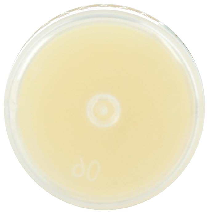 Lavender Peppermint Lip Balm, 0.28 OZ