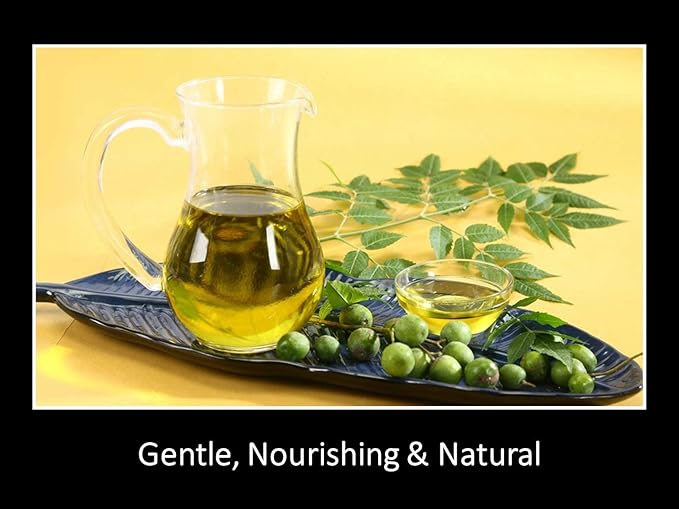 DAANA Neem Oil for Skin and Hair: Certified USDA Organic, Extra Virgin, Cold Pressed (12 Fl Oz)