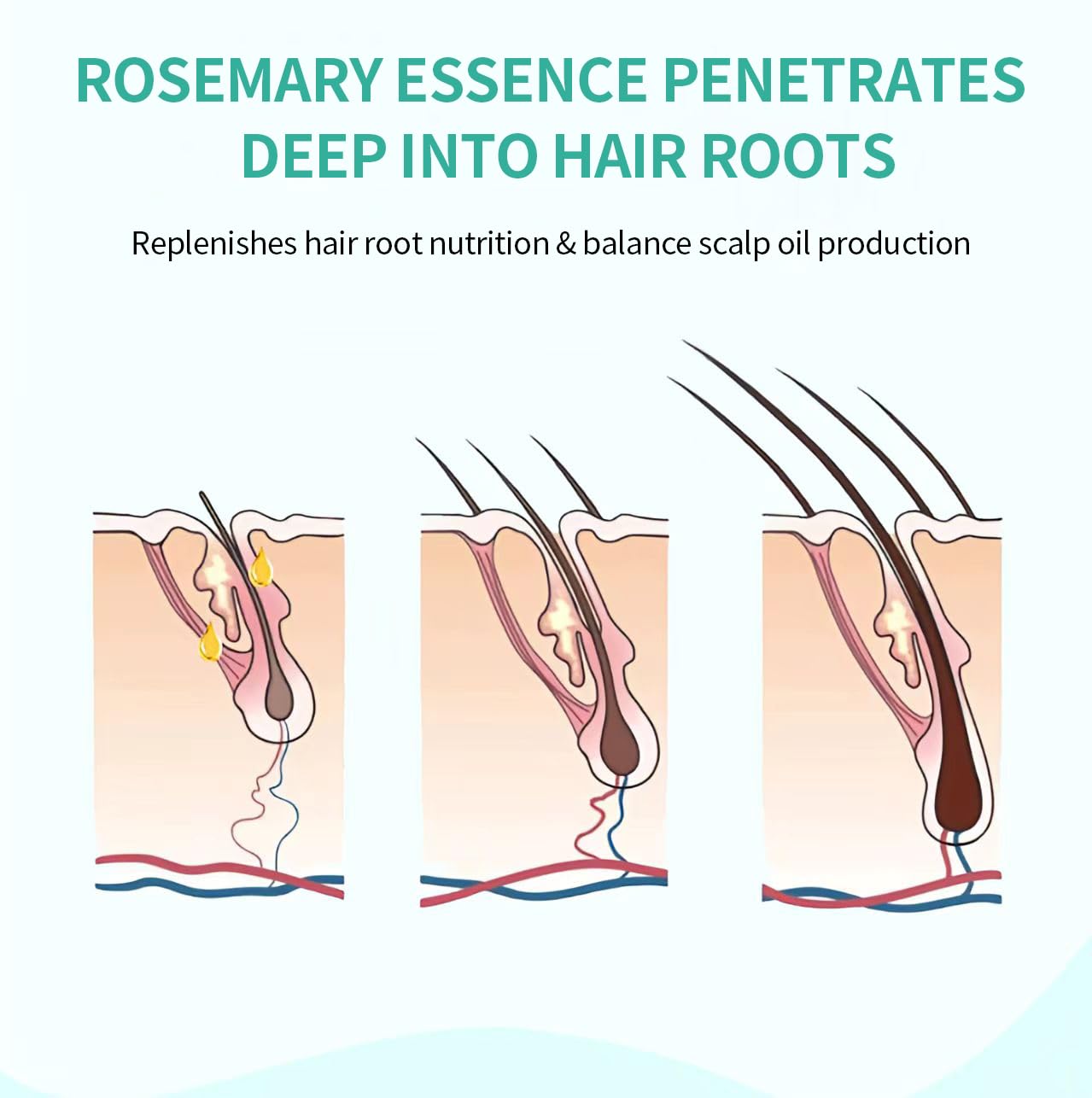Organic Rosemary Hair Growth Serum Scalp & Hair Strengthening Oil Infused With Biotin for All Hair Types Nourishing & Volumizing 60ml