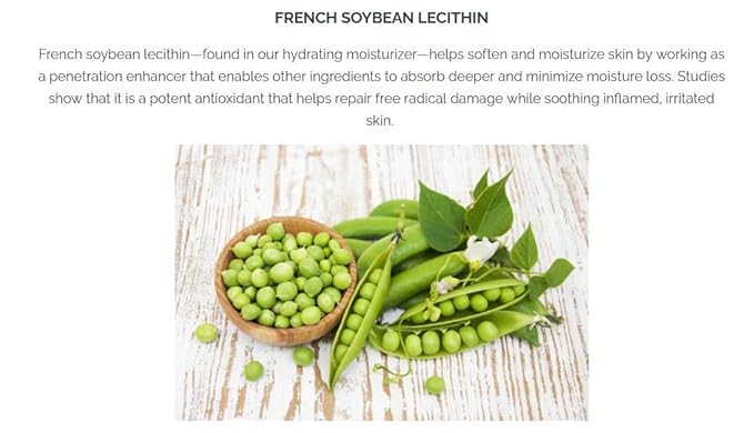 Pistaché Skincare Pistachio Oil 5-Pc Mini Collection (Travel) + Body Butter, Hand Cream, Biscotti Perfume, Eye Cream & Face Moisturizer + Hydrates and Nourishes + Vitamin E + Antioxidant Protection