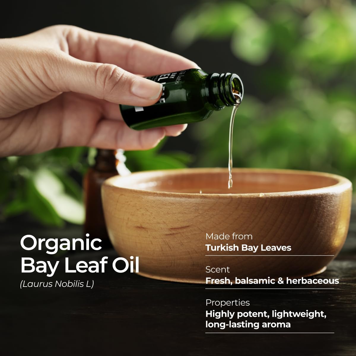 Gya Labs Organic Bay Leaf Essential Oil - 0.34 Fl Oz - for Skin, Hair, Diffuser, Aromatherapy, DIY Candle Making Scents