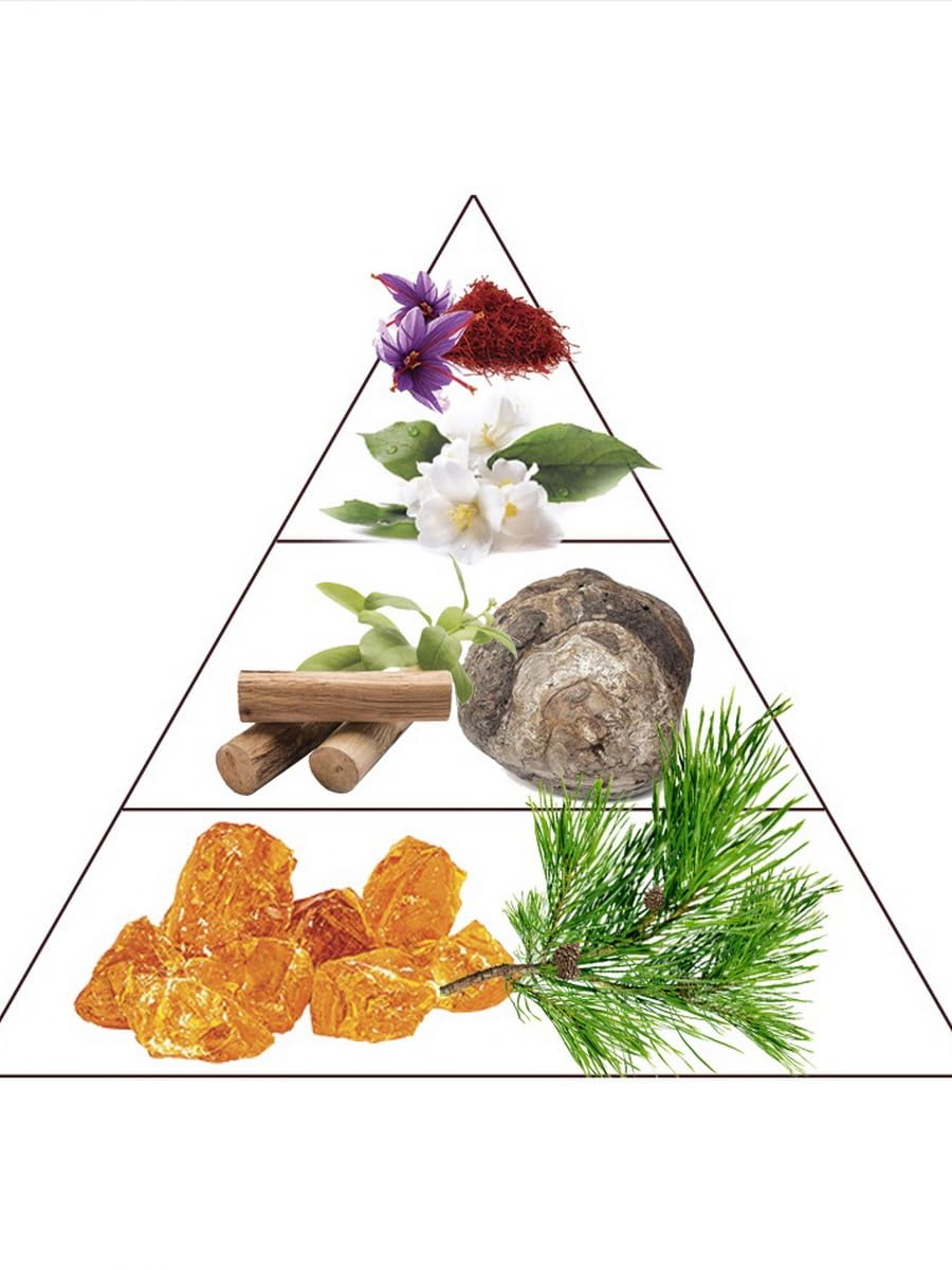 from France Ambre Rouge Perfume 16ml – Oriental Floral Scent – Elegant Fragrance with Saffron, Jasmine & Amber – Deep Oud Finish