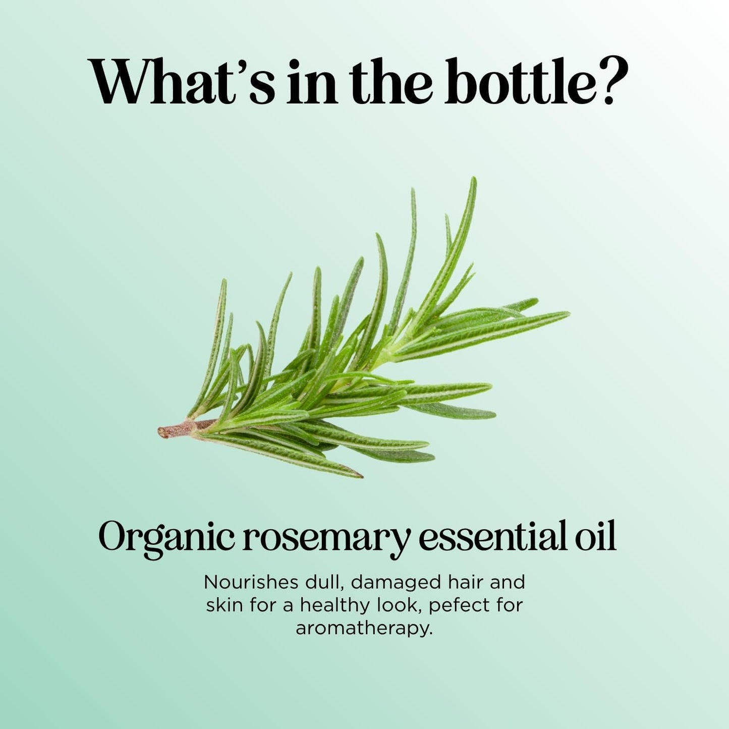 Certified Organic Rosemary Oil for Hair - Extra Large 100% Pure USDA Organic Rosemary Essential Oil for Hair Skin and Nails - Oil for Dry Scalp Treatment and Enhanced Volume and Shine