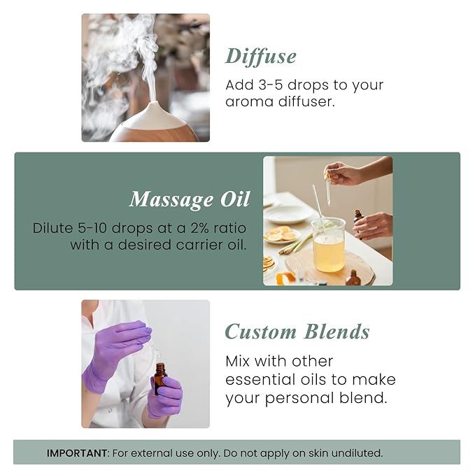 Handcraft Blends Eucalyptus Essential Oil - 0.33 Fl Oz - 100% Pure and Natural - Premium Grade Essential Oil for Diffuser and Aromatherapy