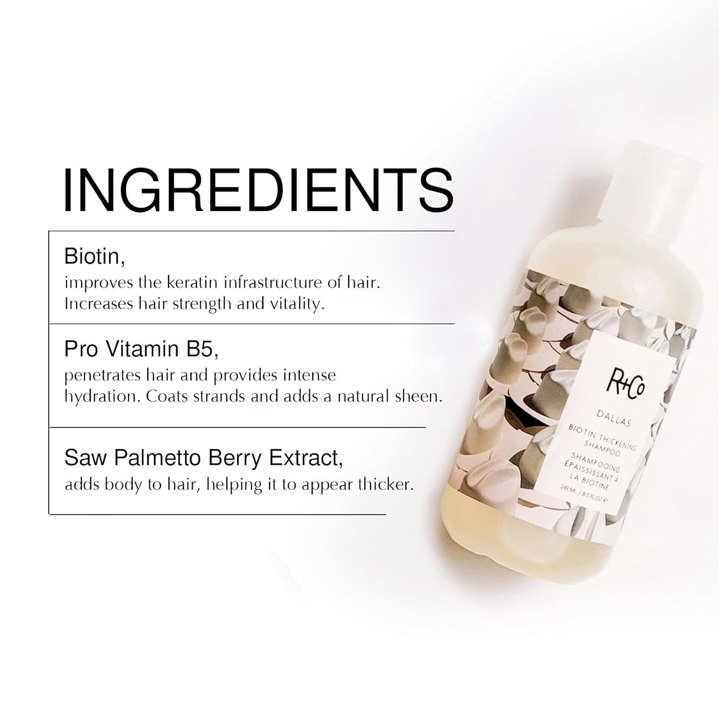 R+Co Dallas Biotin Thickening Shampoo & Conditioner Set + Deluxe Sample (0.5oz) | Adds Volume, Strength & Fullness | Sulfate-Free, Vegan + Cruelty-Free | 33.8oz (Pack of 2)