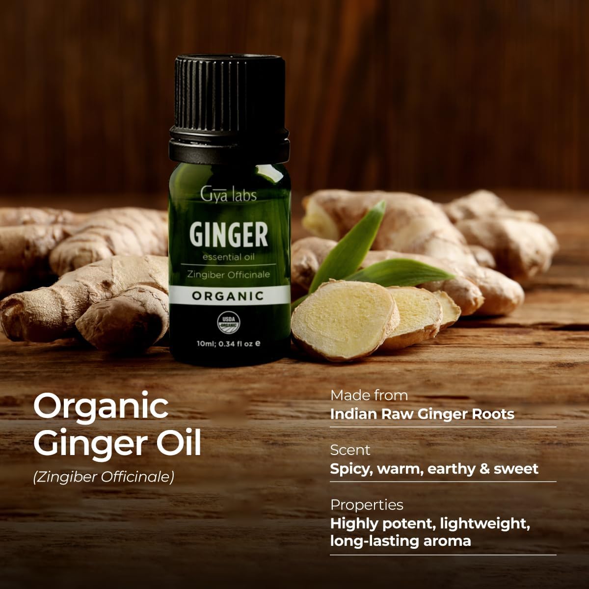 Gya Labs Organic Ginger Essential Oil - 0.34 Fl Oz - for Skin, Hair, Diffuser, Aromatherapy, DIY Candle Making Scents