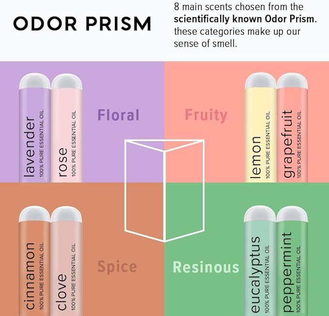 MOXĒ Smell Training Kit, Made in USA, 8 Essential Oils, Olfactory Regeneration, Helps Restore Sense of Smell, Natural Therapy for Smell Loss (Phase 1 & Phase 2 Bundle)