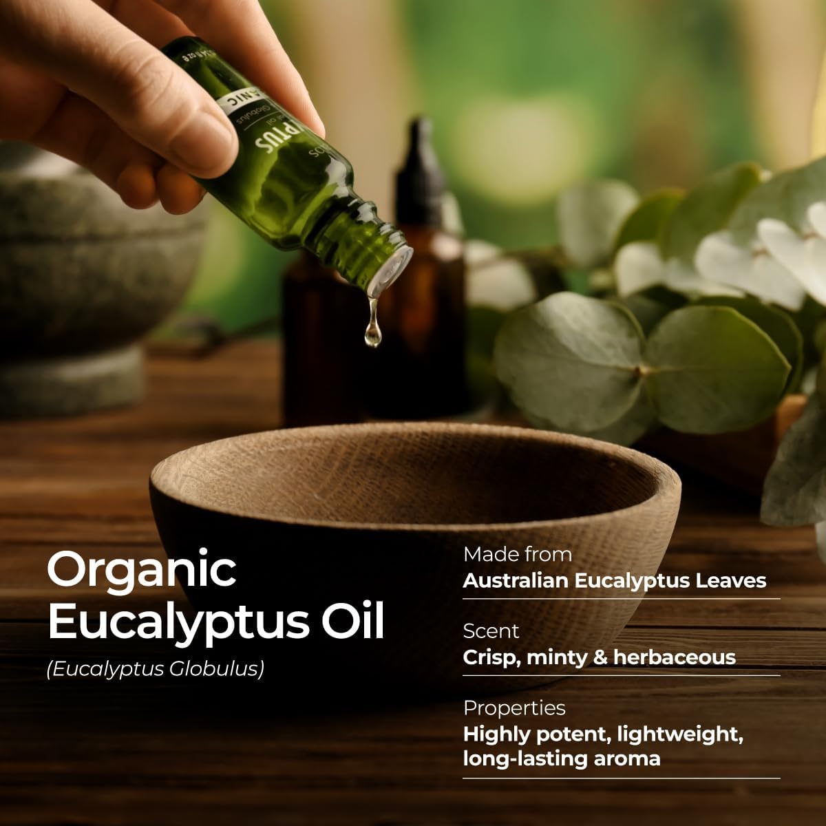Gya Labs Organic Eucalyptus Essential Oil - 0.34 Fl Oz - for Skin, Hair, Diffuser, Aromatherapy, DIY Candle Making Scents