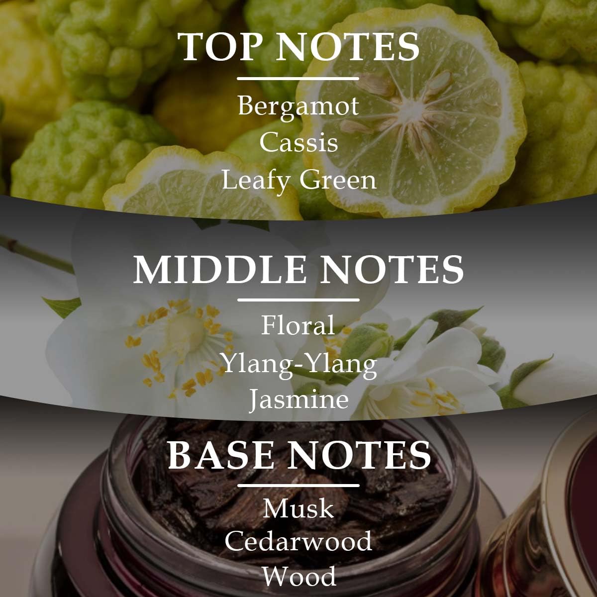 Lonkoom Noble Classic Floral Perfume for Men Women, 3.4 Fl Oz/100ml Unisex Eau de Parfum Spray Long-Lasting Fragrance, Notes of Bergamot Cassis Rosewood Cyclamen Musk Cedarwood Sandalwood Amber