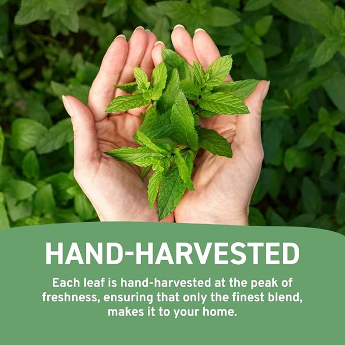 HANDPICK, Spearmint Tea Bags (100 Herbal Tea Bags) |Refreshing Mint Tea | Non-GMO, Gluten Free | Round Eco-Conscious Teabags