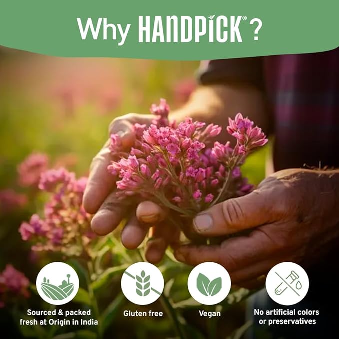 HANDPICK, Valerian Root Tea Bags (Valeriana) 50 Count | Non-GMO, Caffeine Free, Real Ingredients | Earthy/Woody Herbal Tea Bags | Round Eco-conscious Tea Bags