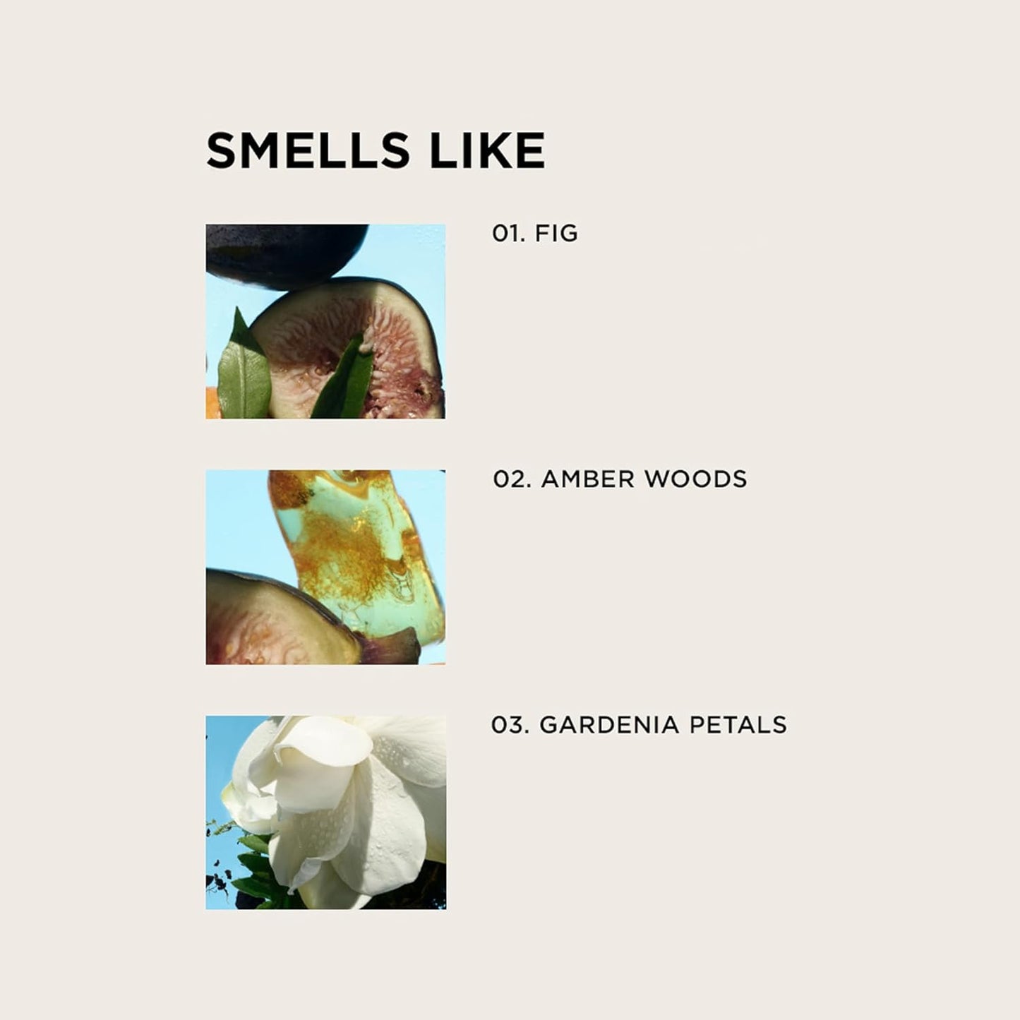 By Rosie Jane James Home & Away Bundle – Eau De Parfum Spray (50ml) + Travel Perfume Spray (10ml) – Clean Fragrance with Fig, Amber Woods & Gardenia Petals