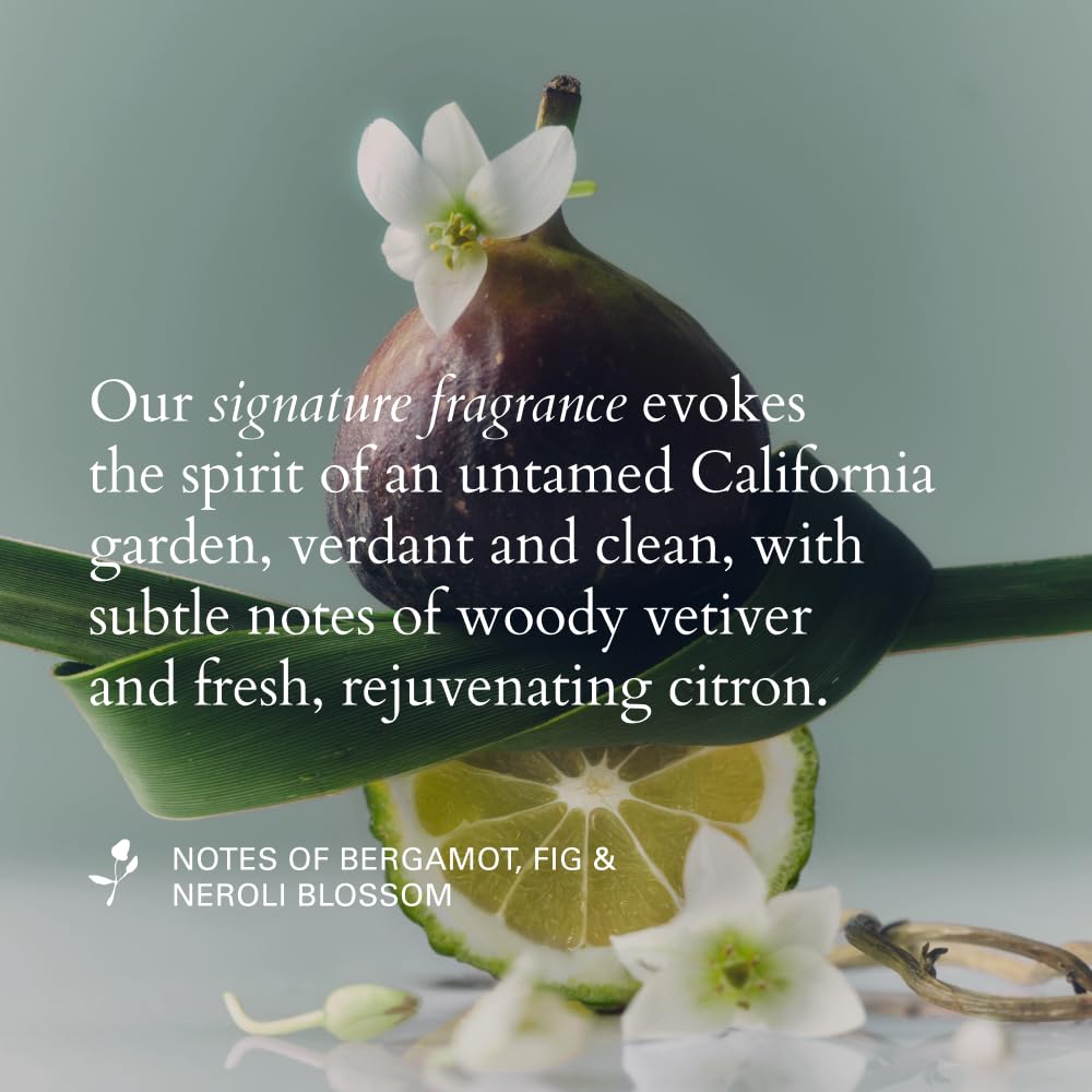 RŌZ Foundation Mask – Hydrating & Repairing Hair Treatment for All Hair Types – Deep Conditioning to Strengthen, Smooth & Nourish – Vegan, Color Safe, Silicone Free