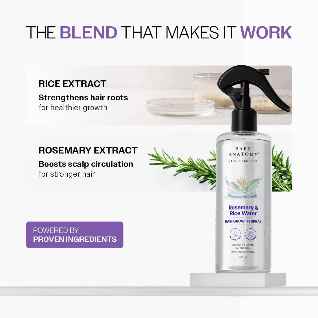 Bare Anatomy Nature x Science Rosemary Water Spray for Hair Growth & Hair Thickness with Rice Water |100% Natural Extract | Soft & Smooth Hair| Controls Hairfall| Non-Greasy & Fast Absorbing | 200ml