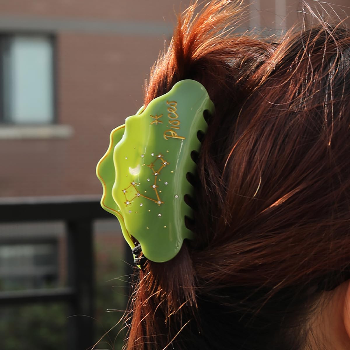 Fantasy Pisces Sign Hair Clips,Novelty Acetate Claw Clip,Zodiac Hair Clips for Women,Green