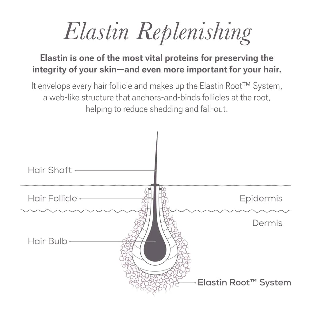 NULASTIN Scalp Serum - Vibrant Scalp Treatment to Help Improve the Look of Hair Density - Lightweight, Fast Absorbing Formula Enriched with Hair-Strengthening Ingredients (2 Count)