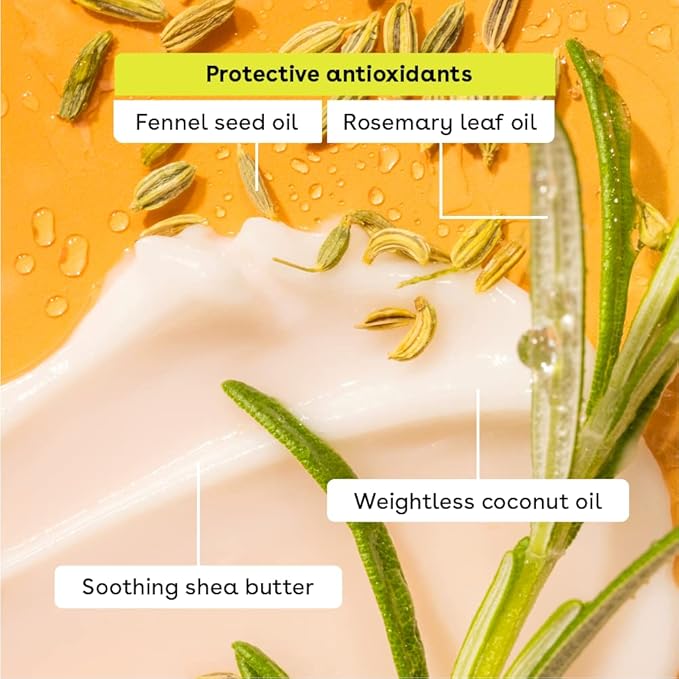 eos Natural Shea Lip Balm- Birthday Cake, All-Day Moisture Lip Care Products, 0.39 oz (Pack of 2)