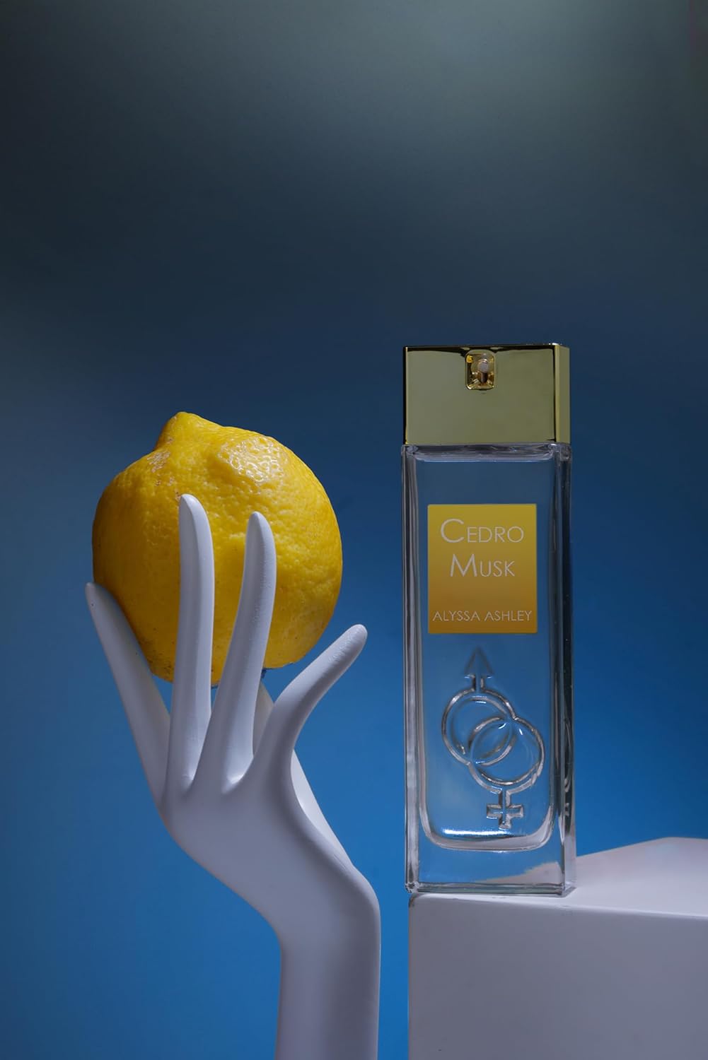 Alyssa Ashley Cedro Musk - Elegant Women's Fragrances - Perfumes for Women - Fresh Women Perfume with Notes of Cedar, Jasmine, Amber and Musk - 1.7 oz