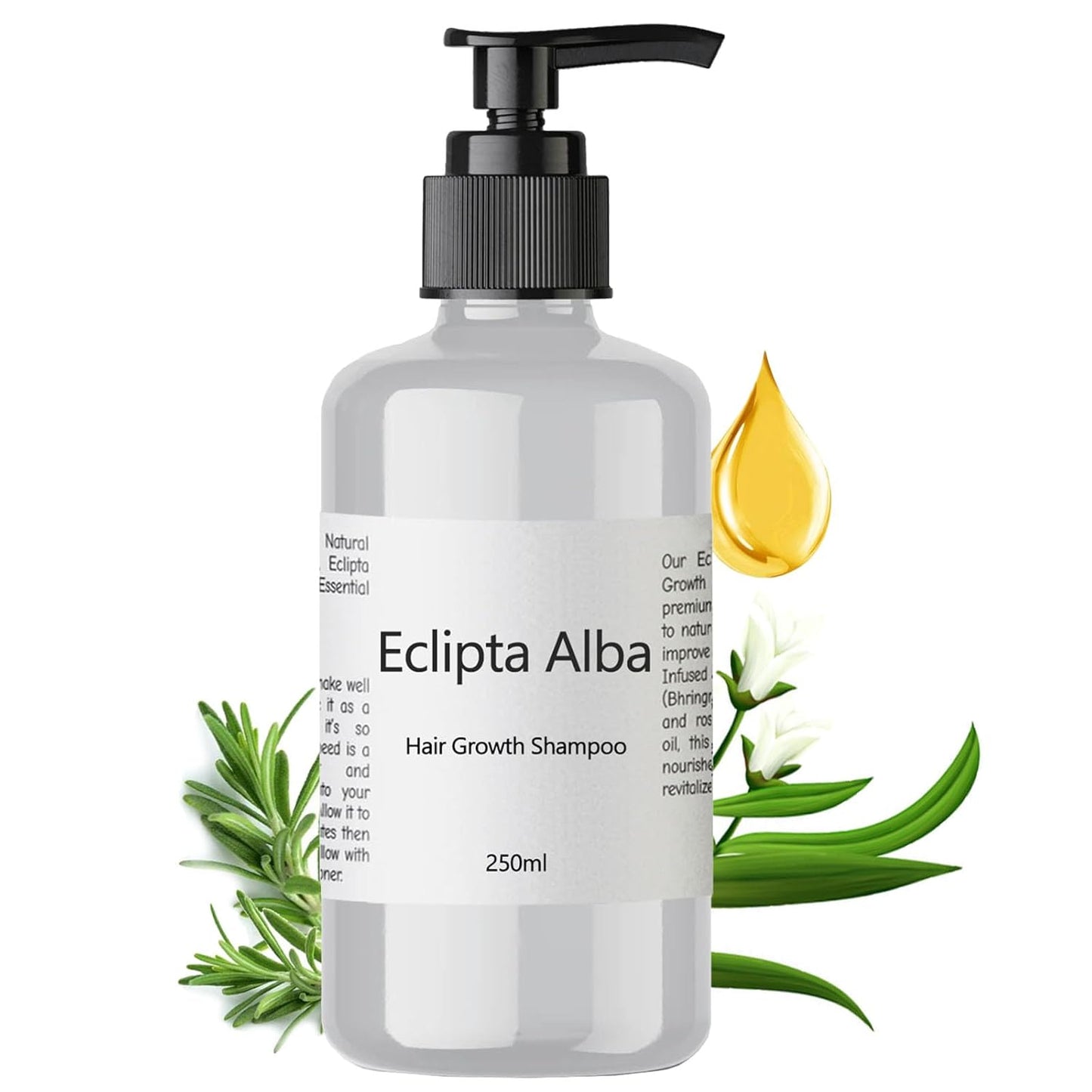 Eclipta Alba Shampoo for Hair Growth with Organic Bhringraj Oil, Strengthens & Nourishes Hair, Prevents Hair Loss, Safe for All Hair Types – 250ml