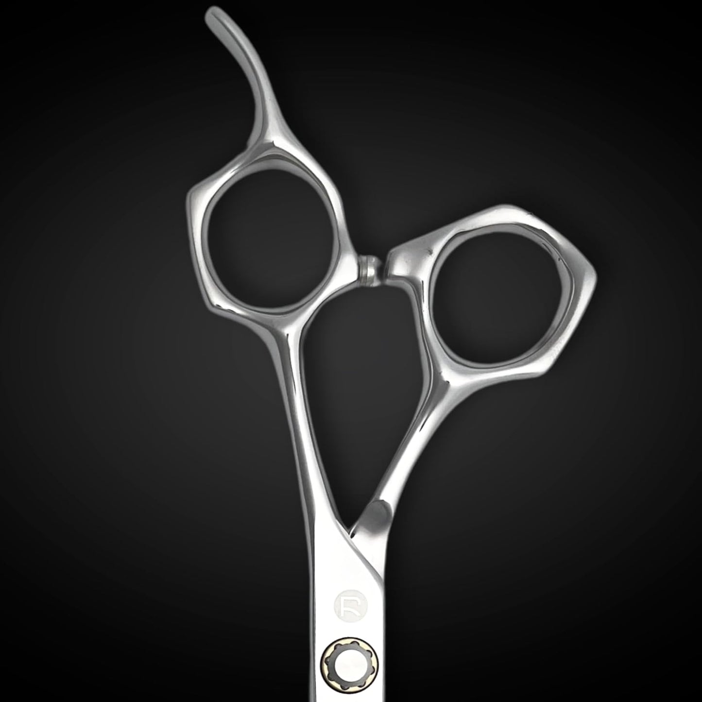 Professional Hair Cutting Scissors - 6 Inches - Convex Blade - Japanese 440C Stainless Steel - For Wet or Dry Cutting - Saki Shears Musashi For Hairdressers and Barbers