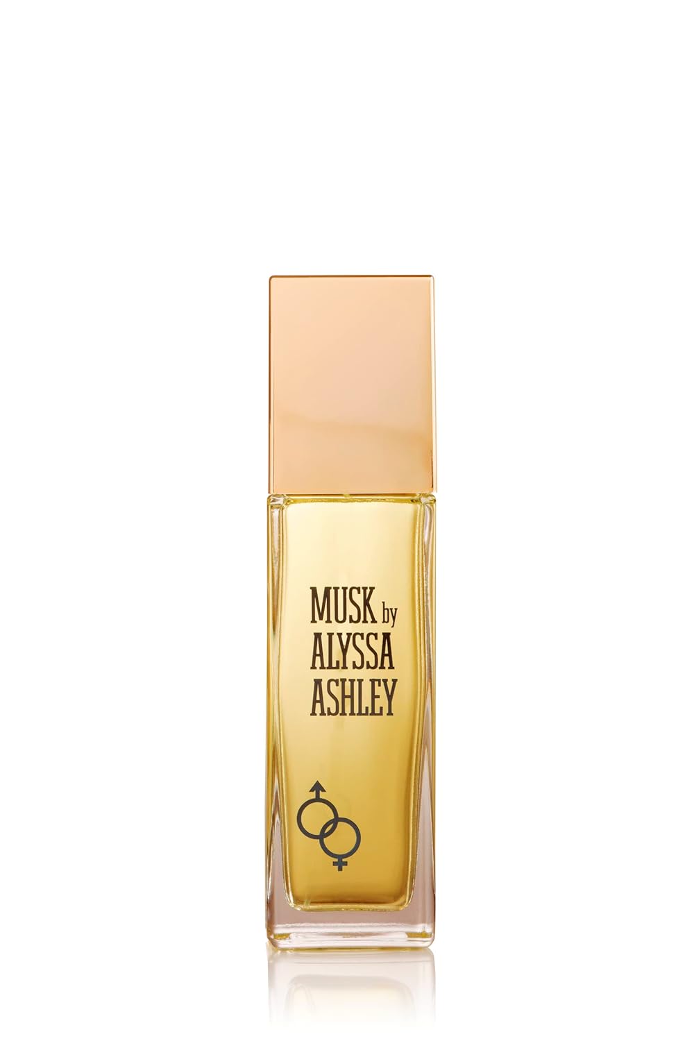 Alyssa Ashley Musk - Perfume for Men and Women with Citrus and Sicilian Bergamot - Long Lasting - Womens Fragrances - 3.4 oz EDT Spray