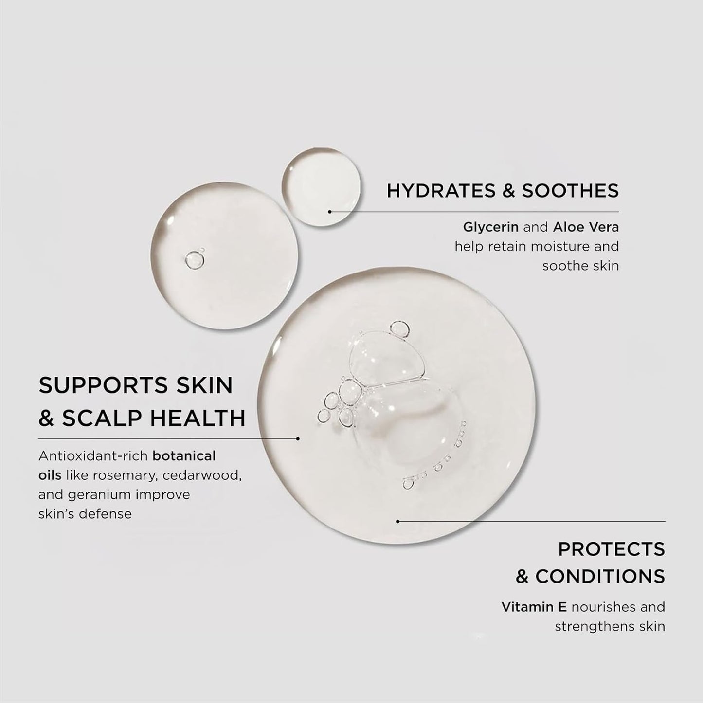 Caswell-Massey Heritage All-in-1 Body Wash, Use as a Face Wash, Beard Wash, Shampoo, Body Wash & Shave Gel, Signature Heritage Soap for Men, 12 Fl Oz Made in USA