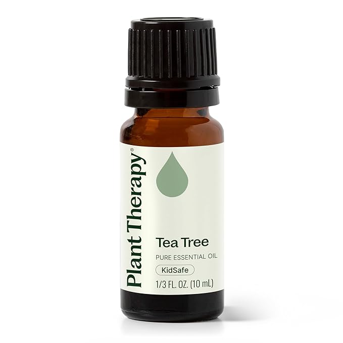 Plant Therapy Tea Tree Essential Oil 100% Pure, Undiluted, Natural Aromatherapy, Therapeutic Grade 10 mL (1/3 oz)