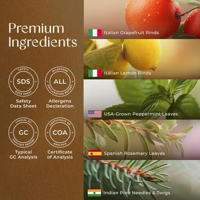 Gya Labs Active Energy Essential Oil Blend for Diffuser - 100% Pure Natural Energy Aromatherapy Oils - Rejuvenating & Refreshing (0.34 Fl Oz)