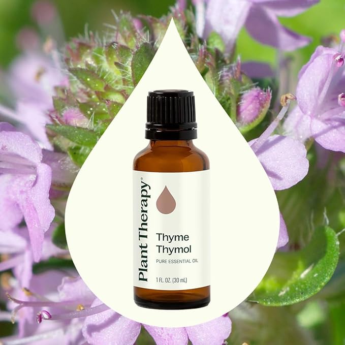 Plant Therapy Thyme Essential Oil (Thymol) 100% Pure, Undiluted Thyme Oil, Natural Aromatherapy, Therapeutic Grade 30 mL (1 oz)