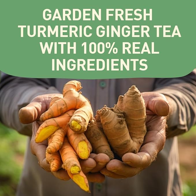 HANDPICK, Organic Turmeric Ginger Tea, 100 Eco-Conscious Tea Bags | Caffeine Free, Gluten Free, Non-GMO | 100% Pure Herbal Blend - Savory & Spicy