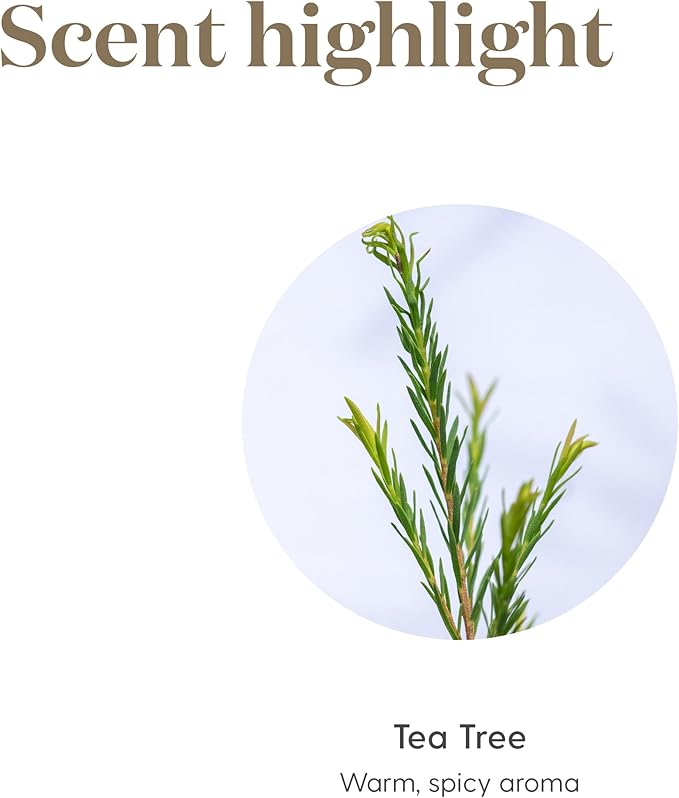 Tea Tree (Melaleuca Alternifolia) Essential 5ml Oil by Young Living Essential Oils