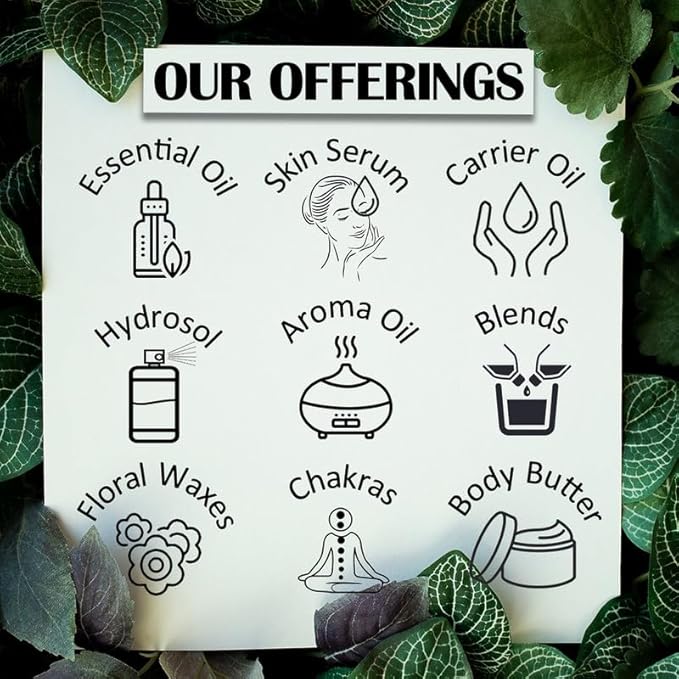 Pure Nirgundi Oil (Vitex negundo linn) 100% with Glass Dropper Premium Therapeutic Grade for Hair, Skin & Aromatherapy (Pack of Two) 100ml X 2 (6.76 oz)