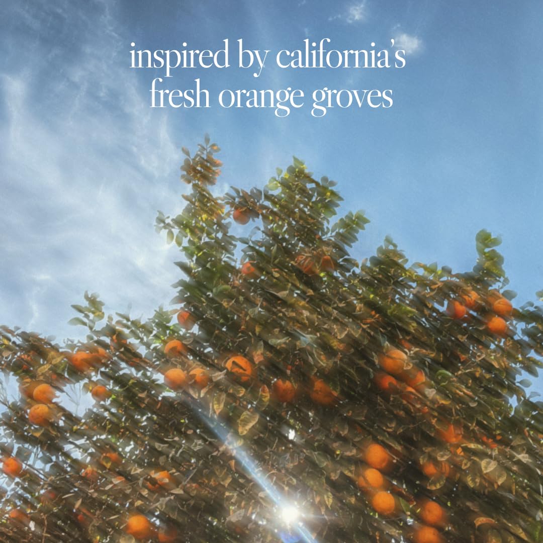 Noteworthy n,307 Eternal Sunsine Eau De Parfum – Mandarin, Basil, Sandalwood | Long-lasting Unisex Perfume for Women & Men (Travel)