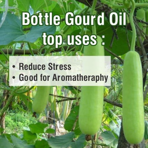 Bottle Gourd Oil (Lagenaria Siceraria) 100% Natural Pure Carrier Oil - 15 ml