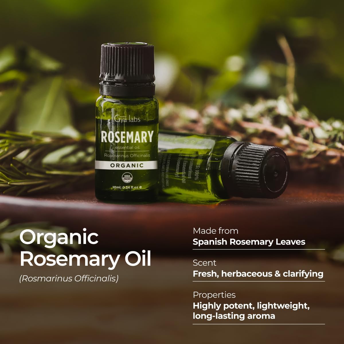 Gya Labs Organic Rosemary Essential Oil - 0.34 Fl Oz - for Skin, Hair, Diffuser, Aromatherapy, DIY Candle Making Scents