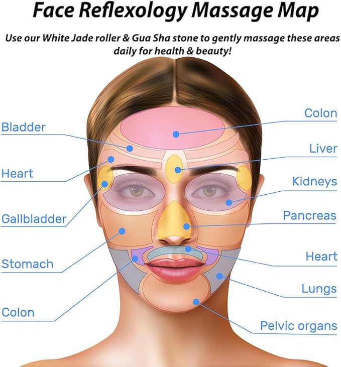 Earth & I White Jade Roller & Face Guasha Set 2pc, at Home Spa Essentials, Women Self Care, Face Tool for Lymphatic Drainage, Gua Sha Roller, Gusha, Facial Gua Sha Tool, Spa Accessories for Women