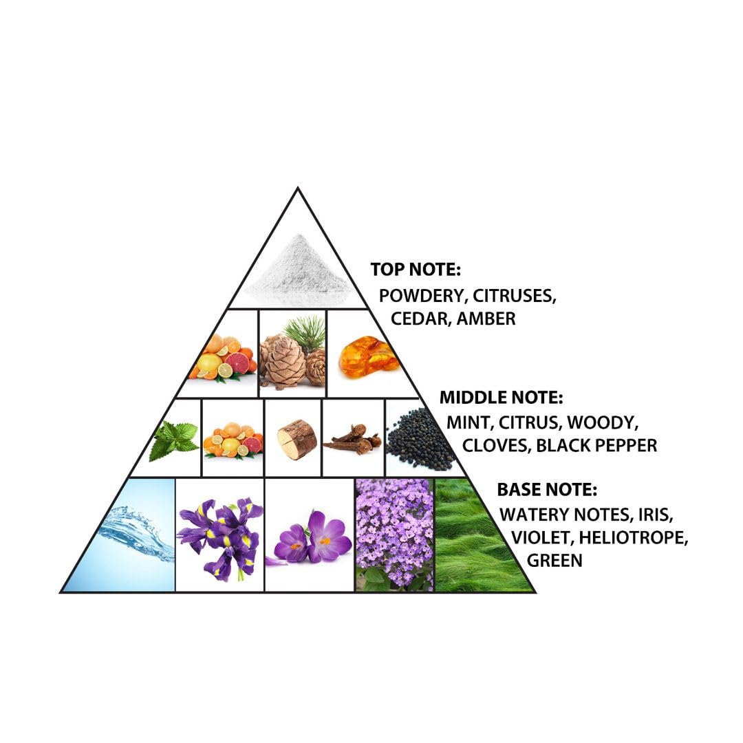 Al Haramain Vintage Silver - Perfumes for Women and Cologne for Men - Fresh Fragrance with Notes of Citrus and Mint - 3.33 oz Extrait De Parfum Spray