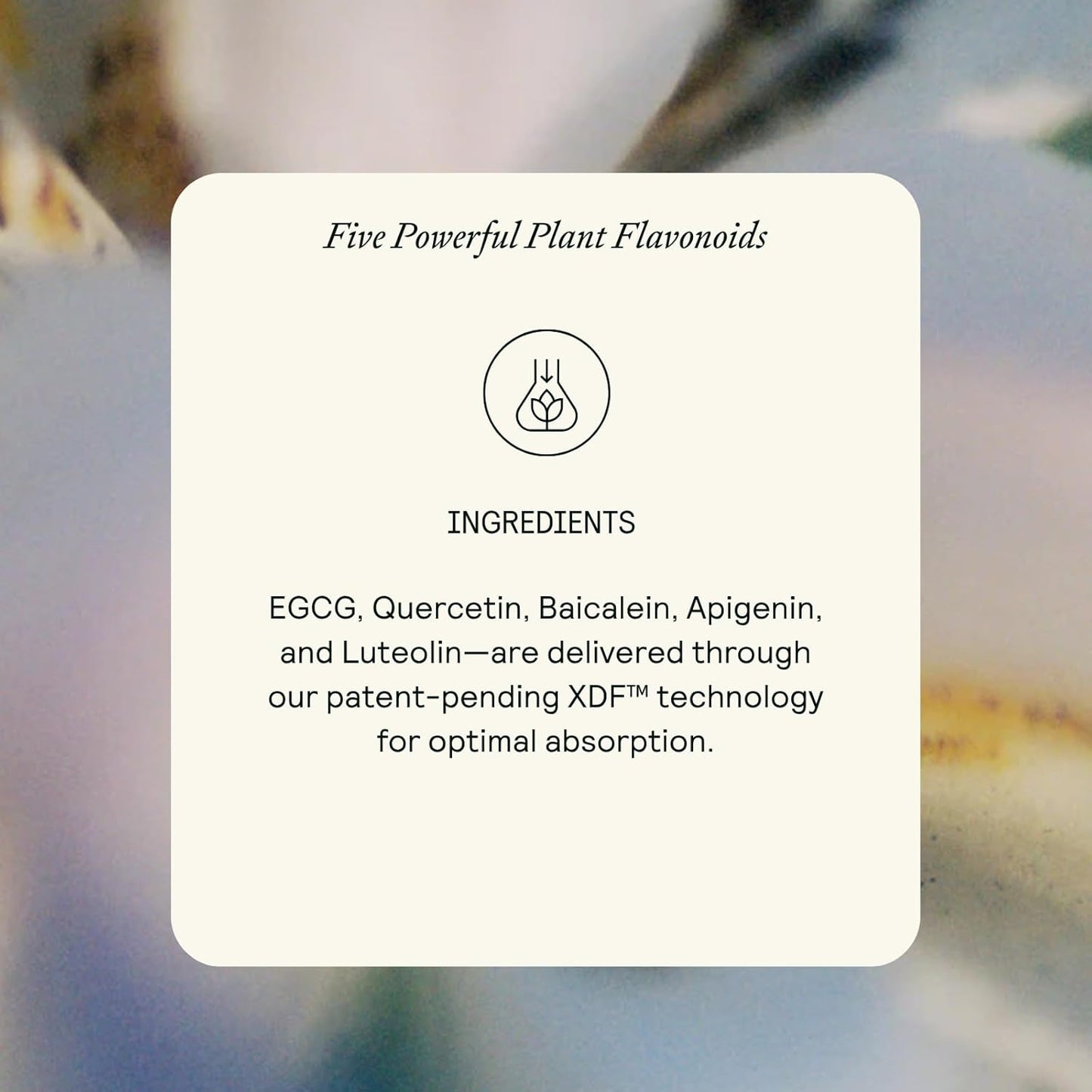 Lip Rescue Serum - Plant Flavonoid Complex - Fast-Absorbing - For Cold Sores & Fever Blisters - Rapid Relief & Recovery - Hydrates & Protects Lips - Lightweight Formula - 0.17 fl oz