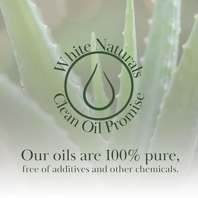 Organic Aloe Vera Oil, Therapeutic Premium Oil, Moisturizing Cold Pressed 100% Pure Natural Aloe Barbadensis Care for Skin, Body, Hair Growth, Face Moisturizer, Baby Oils, Used for Massage, Bath 4oz