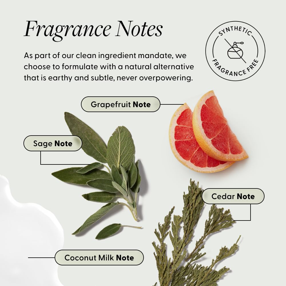 Arey Shower Duo | Daily Wash Shampoo and Smooth Conditioner Set | Delay + Reduce the Signs of Aging Grey Hair | Retain Moisture, Promote Smoothness | Vegan, Gluten-Free & Cruelty Free (2 Pack)