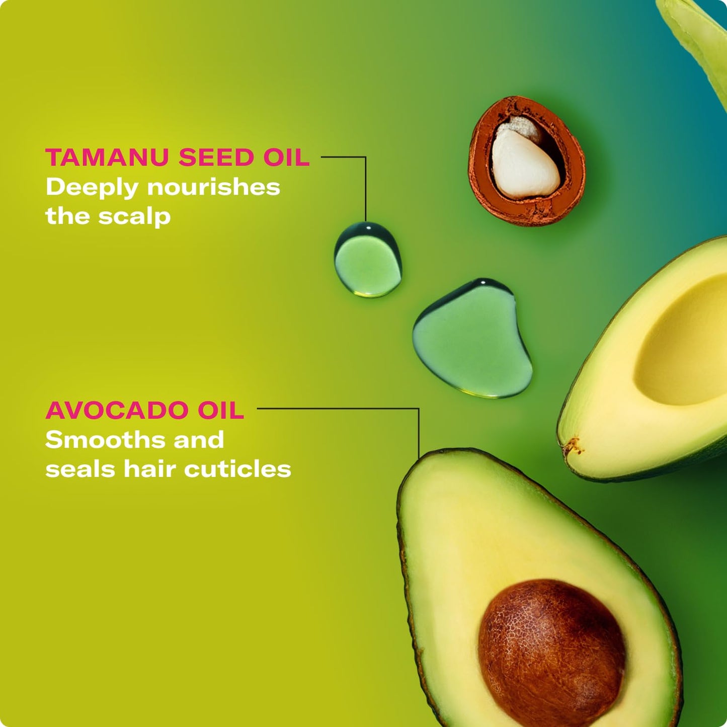 Mielle Organics Avocado & Tamanu Hair Leave In Conditioner Spray for Frizz Control - Smoothing Detangler & Anti Frizz Treatment for Dry, Damaged Styles - Nourishes Scalp for Soft, Shiny Strands - 8 oz