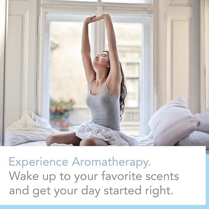 2oz Scented Home Fragrance Essential Oil by Expressive Scent (Champagne)