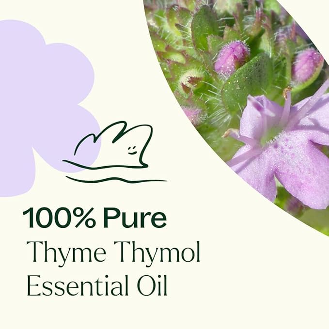 Plant Therapy Thyme Thymol Essential Oil 100% Pure, Undiluted, Natural Aromatherapy, Therapeutic Grade 10 mL (1/3 oz)