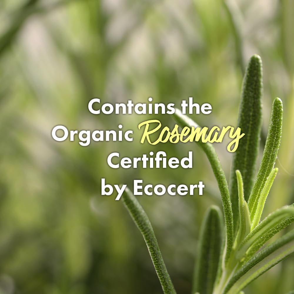 RATED GREEN Real Mary Purifying Scalp Scaler | Organic Cold Brewed Sea Salt | Deep Cleanse for Itchy & Flaky Scalp | Korean Hair Care | 6.76 fl oz