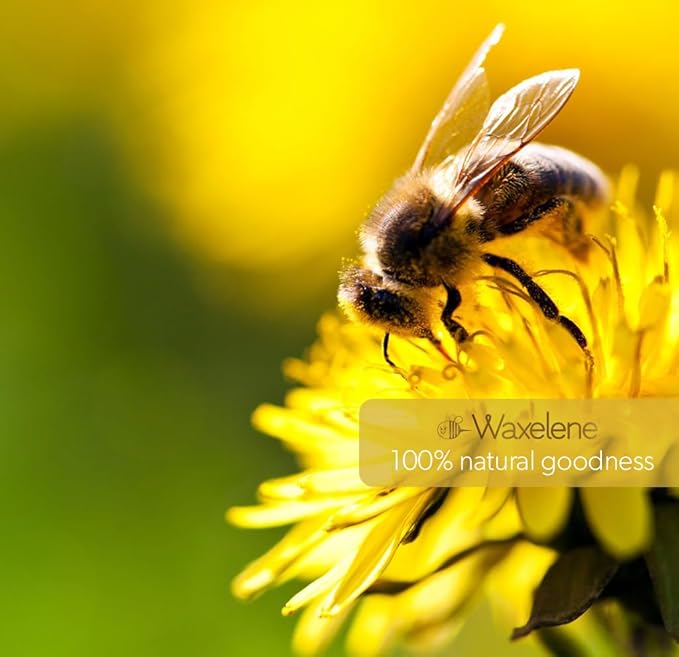 Waxelene Original Aerated Lip Balm Tin, Best Lip Balm Ever Organic Calming Multipurpose Ointment Baby Eczema Dry Sensitive Skin Body Face Moisturizer